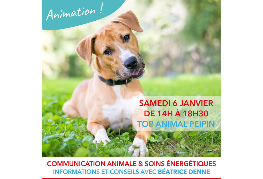 ANIMATION : COMMUNICATION ANIMALE ET SOINS ENERGETIQUES